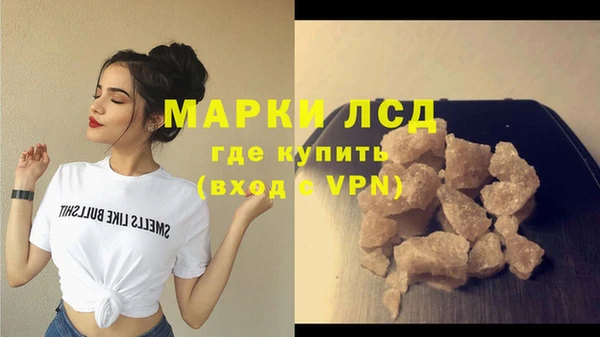 СК Гусев