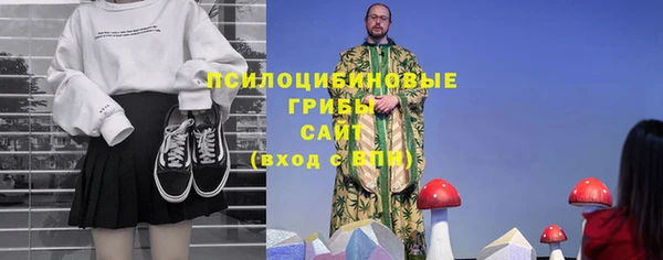 СК Гусев
