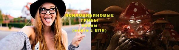 МДПВ Гусиноозёрск