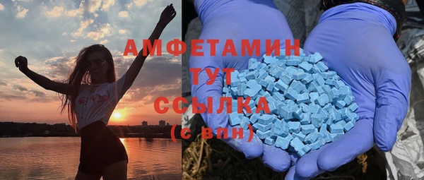 хмурый Гусь-Хрустальный