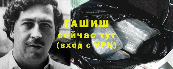 хмурый Гусь-Хрустальный