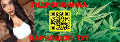 гашиш Гусиноозёрск
