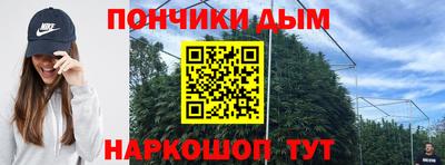 индика Волжск