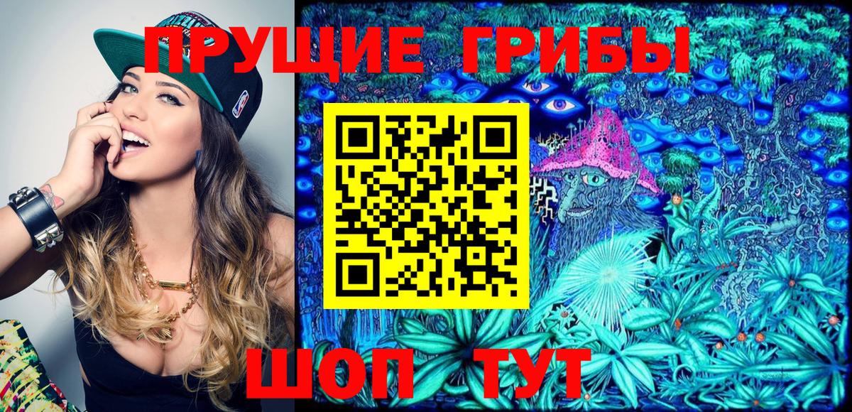 Галлюциногенные грибы Psilocybine cubensis Дивногорск