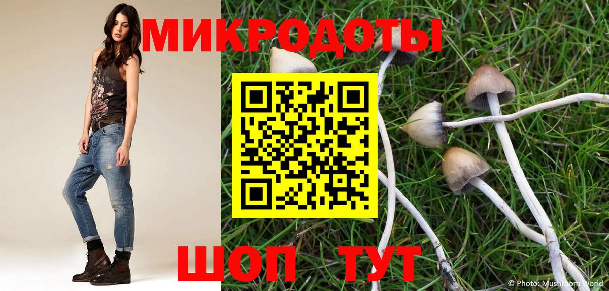 Дивногорск  Галлюциногенные грибы Psilocybe  Вход с VPN  Галлюциногенные грибы MAGIC MUSHROOMS 