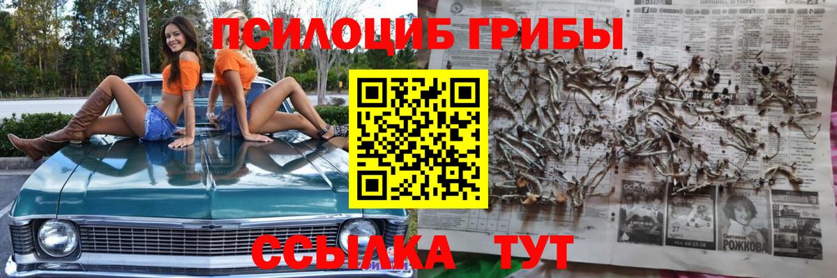 Псилоцибиновые грибы мухоморы Дивногорск