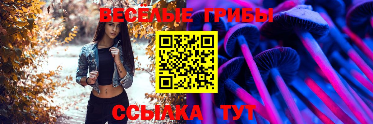 Псилоцибиновые грибы Magic Shrooms  Дивногорск 